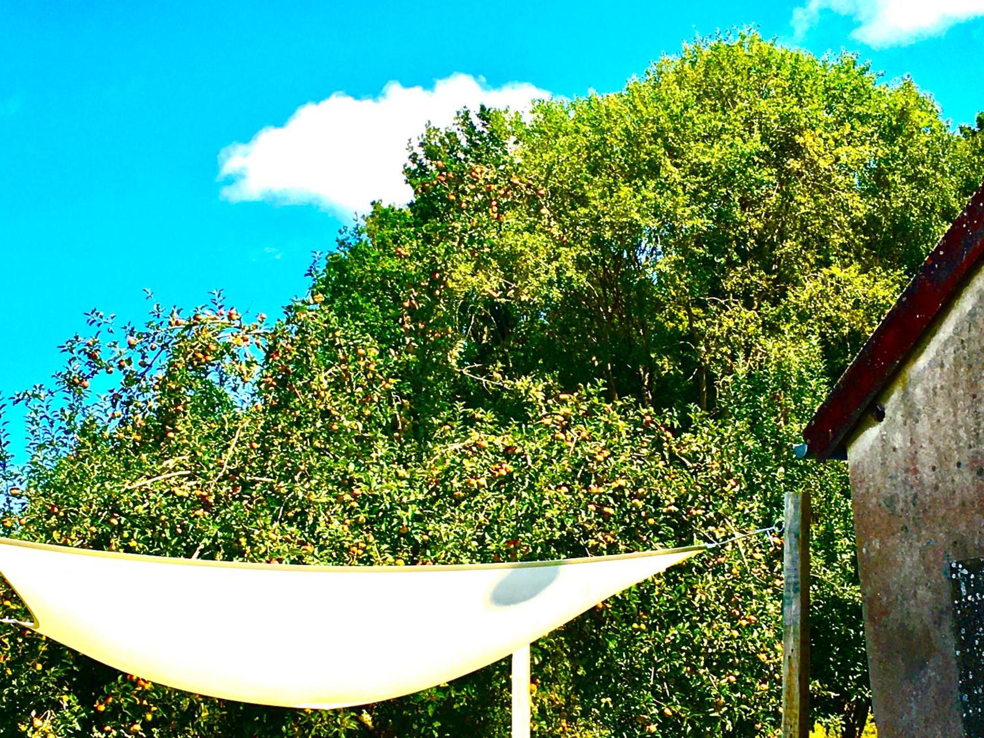 La Mirabelle Bed & Breakfast Saint-Pierre-de-Fursac Exterior foto